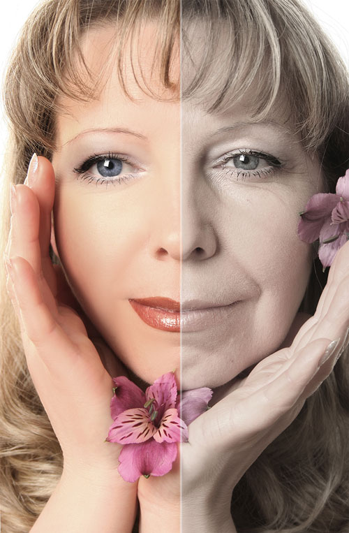 Collagen & Aging