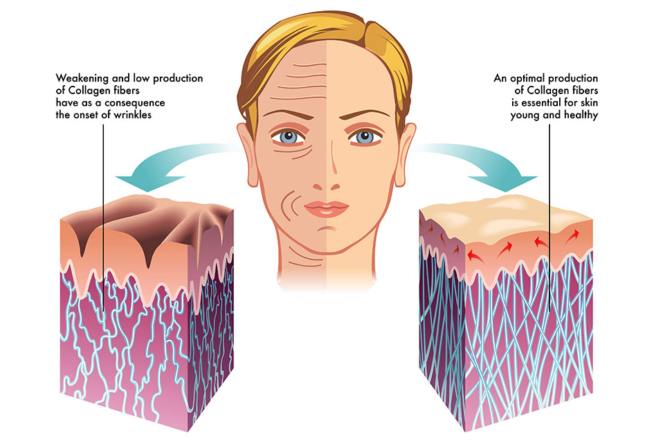 collagen For healthy Skin 