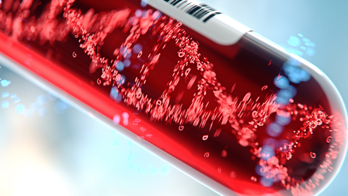 Blood Profiling Sunshine Coast