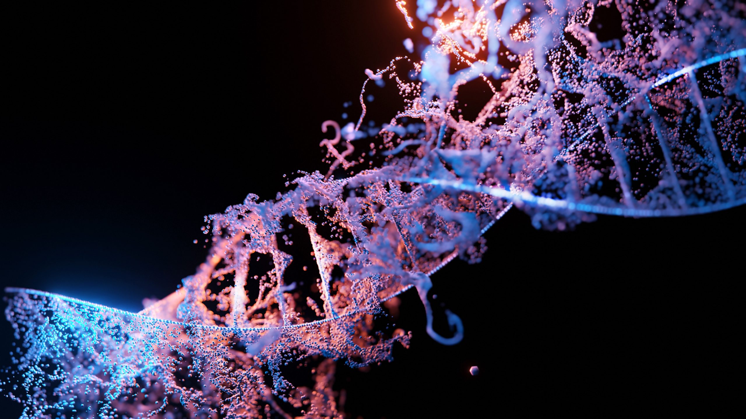 Mitochondria, Inflammation and Oxidative Stress